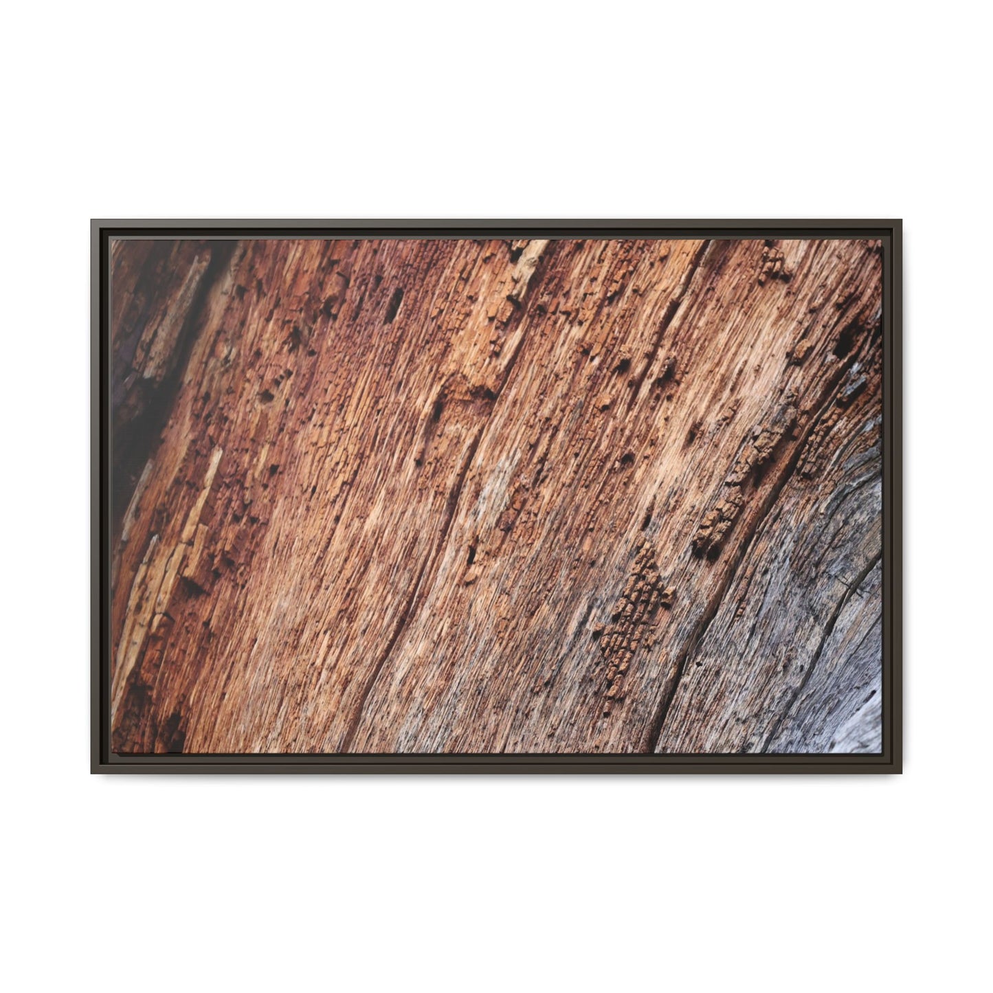 Time's Mark - Unique Stretched Canvas Wall Art - Art By Earth