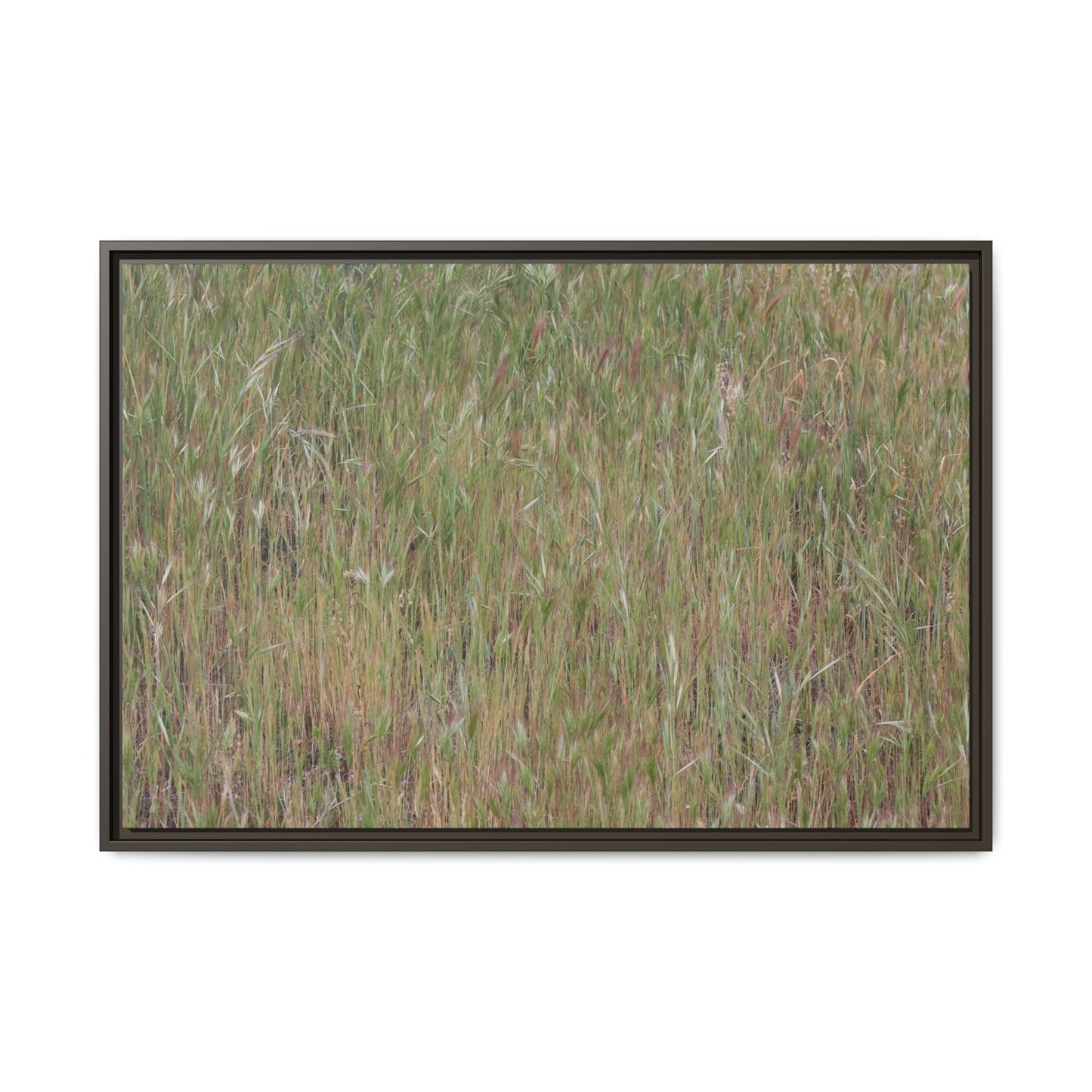 Field of Dreams - Unique Stretched Canvas Wall Art - Art By Earth