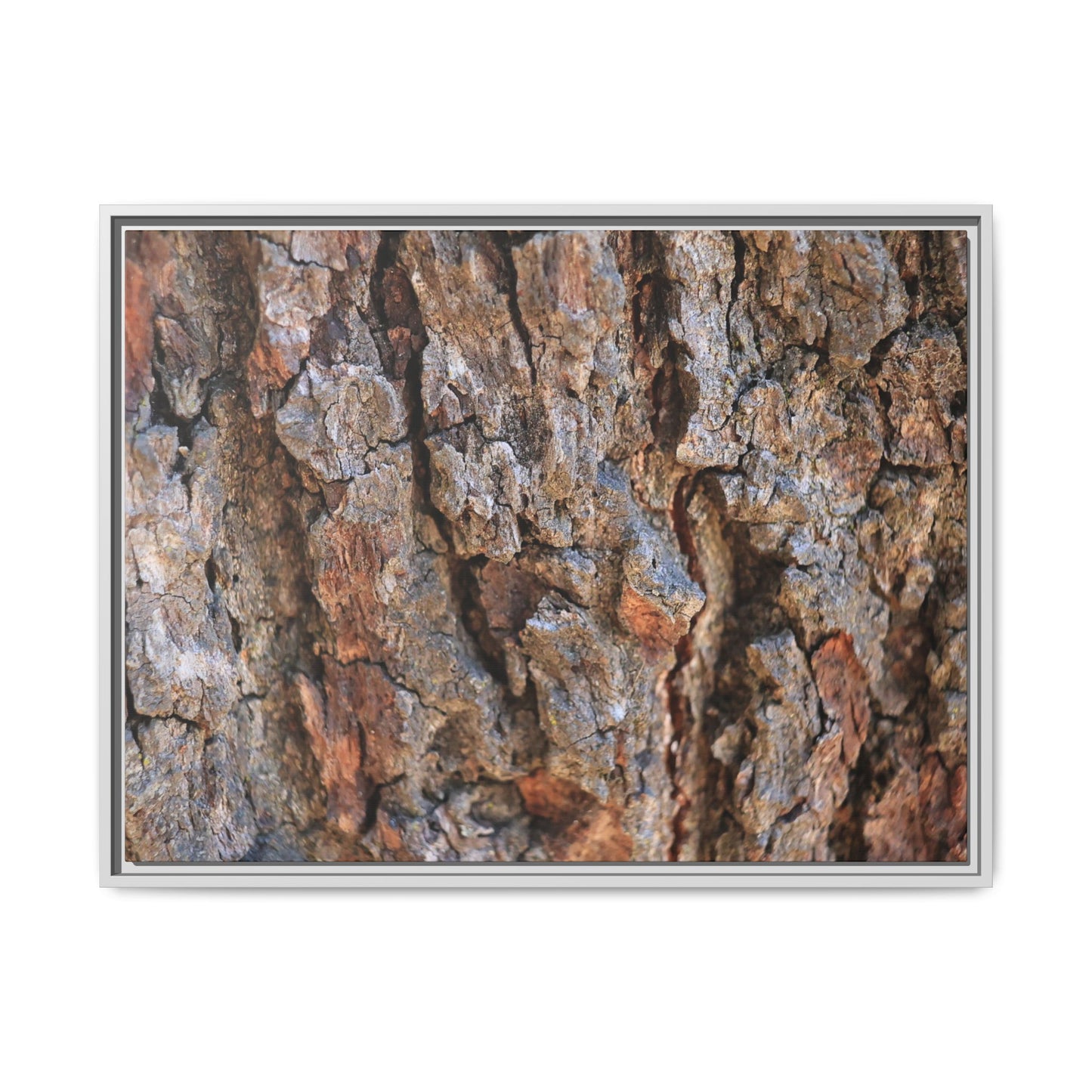 Craggy Textures - Unique Stretched Canvas Wall Art - Art By Earth