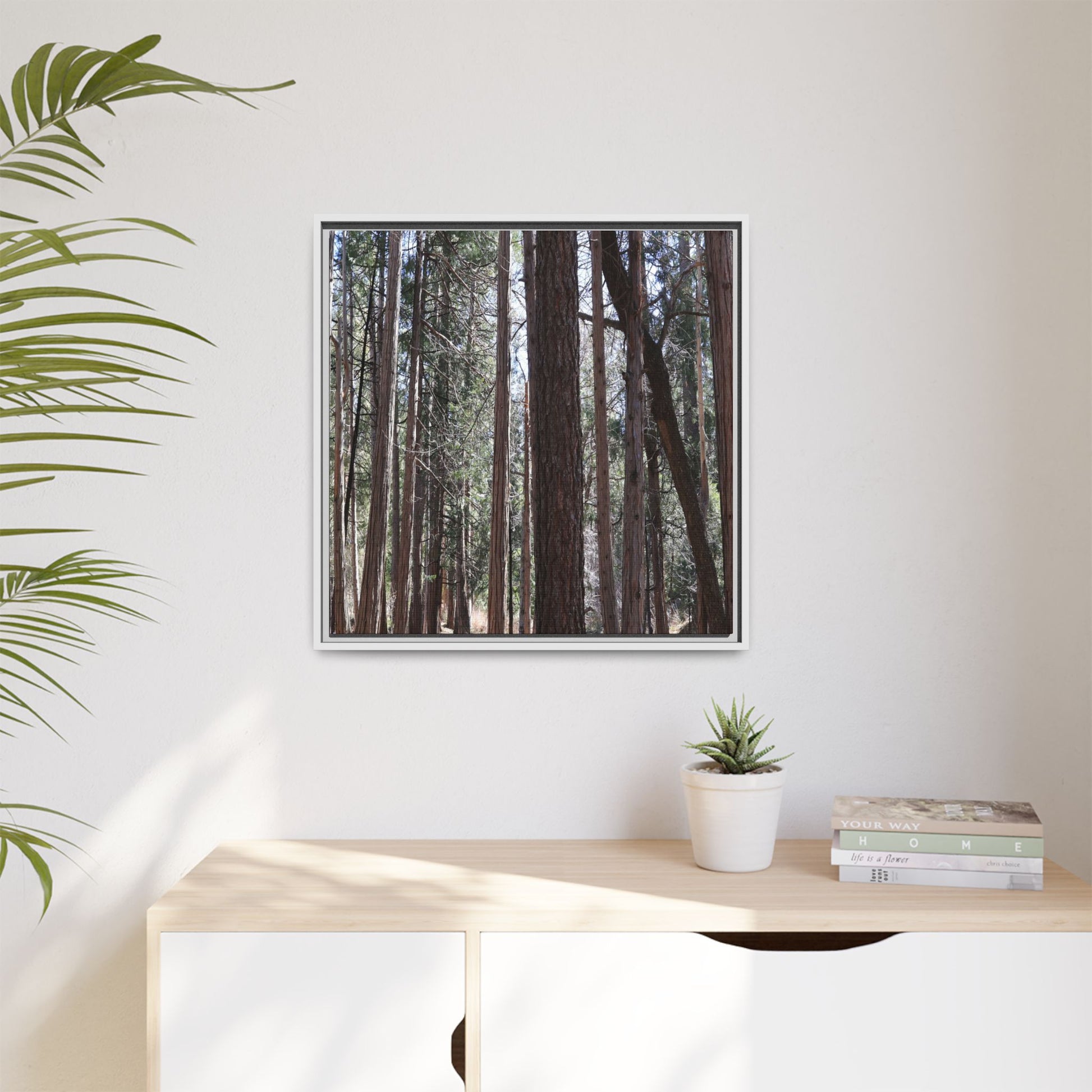 Forest Cathedral - Unique Stretched Canvas Wall Art - Art By Earth