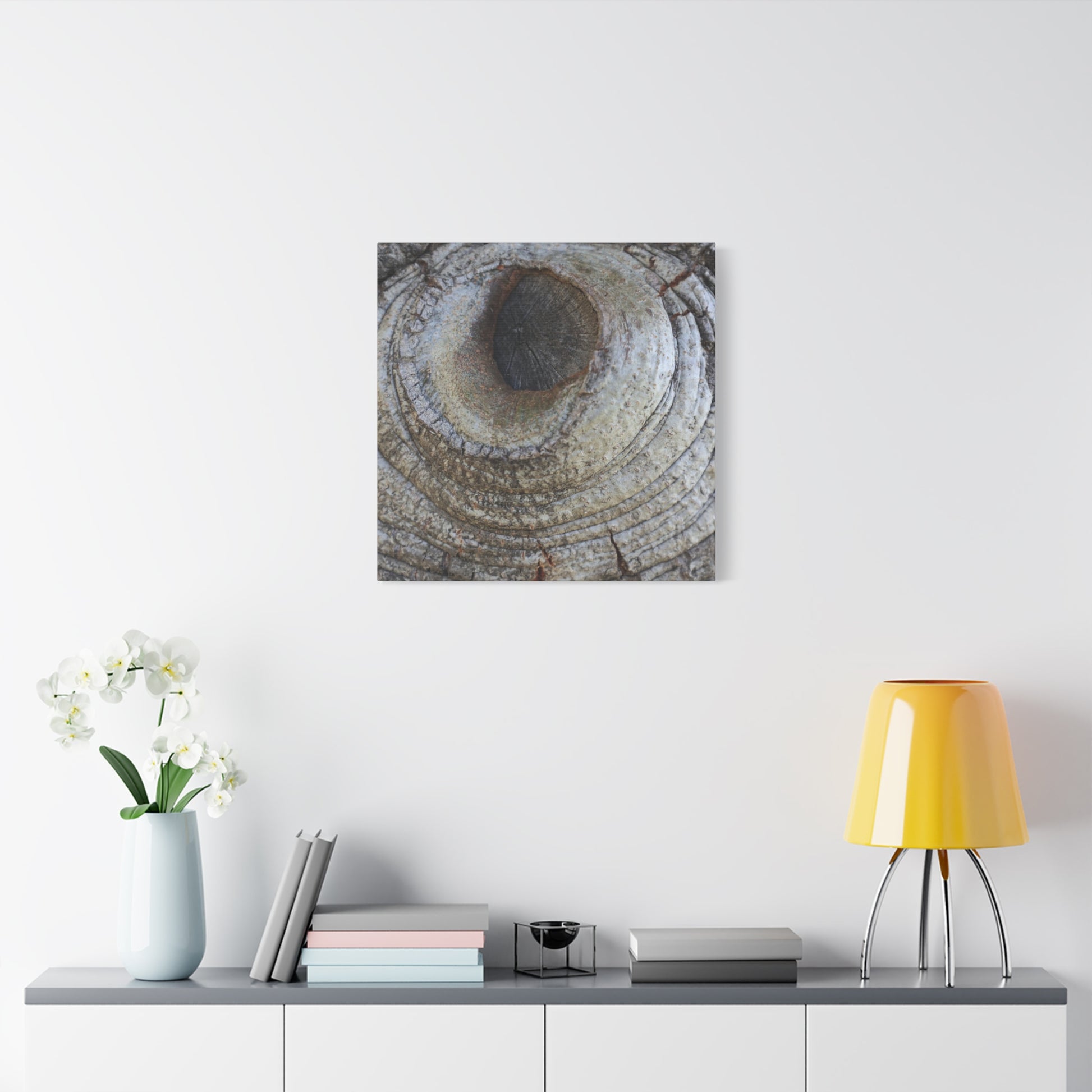 Bark's Eye - Unique Frameless Canvas Wall Art - Art By Earth