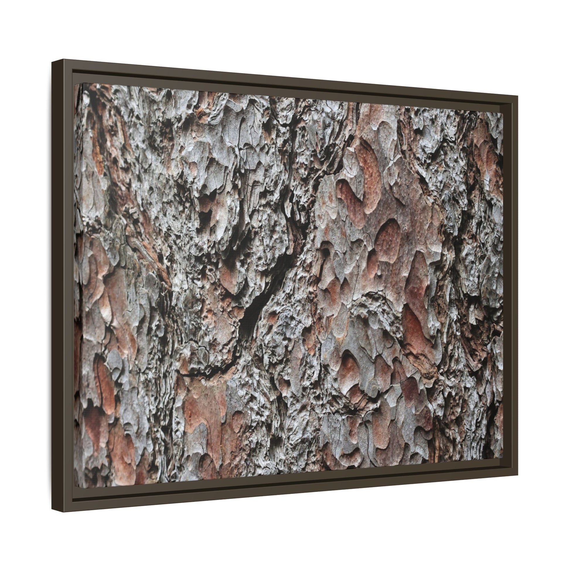 Bark Texture Symphony - Unique Stretched Canvas Wall Art - Art By Earth