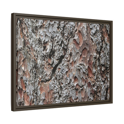 Bark Texture Symphony - Unique Stretched Canvas Wall Art - Art By Earth