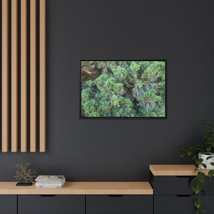 Verdant Whispers - Unique Stretched Canvas Wall Art - Art By Earth