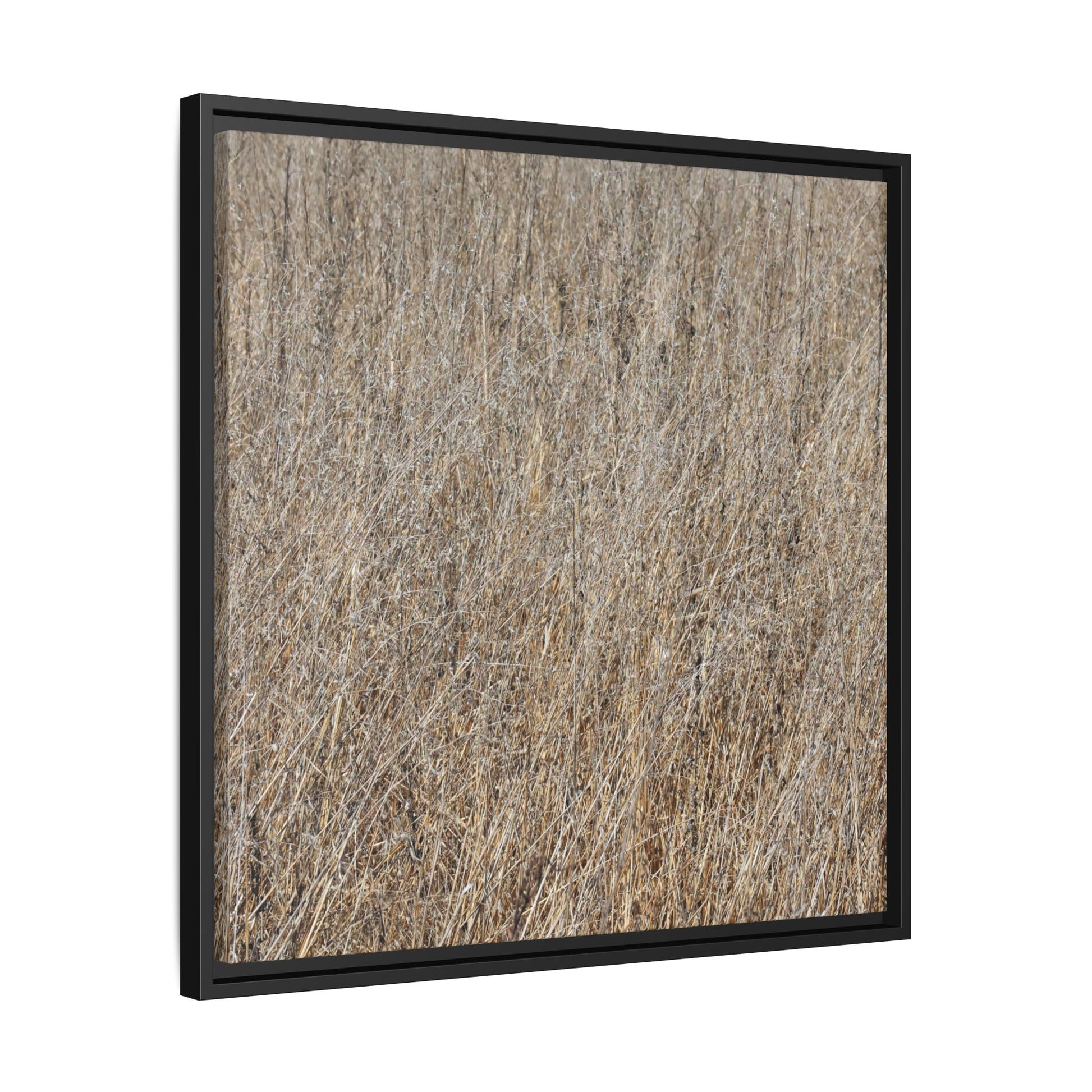 Whispers of Straw - Unique Stretched Canvas Wall Art - Art By Earth