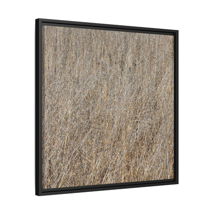Whispers of Straw - Unique Stretched Canvas Wall Art - Art By Earth