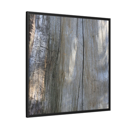 Cracked Timber Texture - Unique Stretched Canvas Wall Art