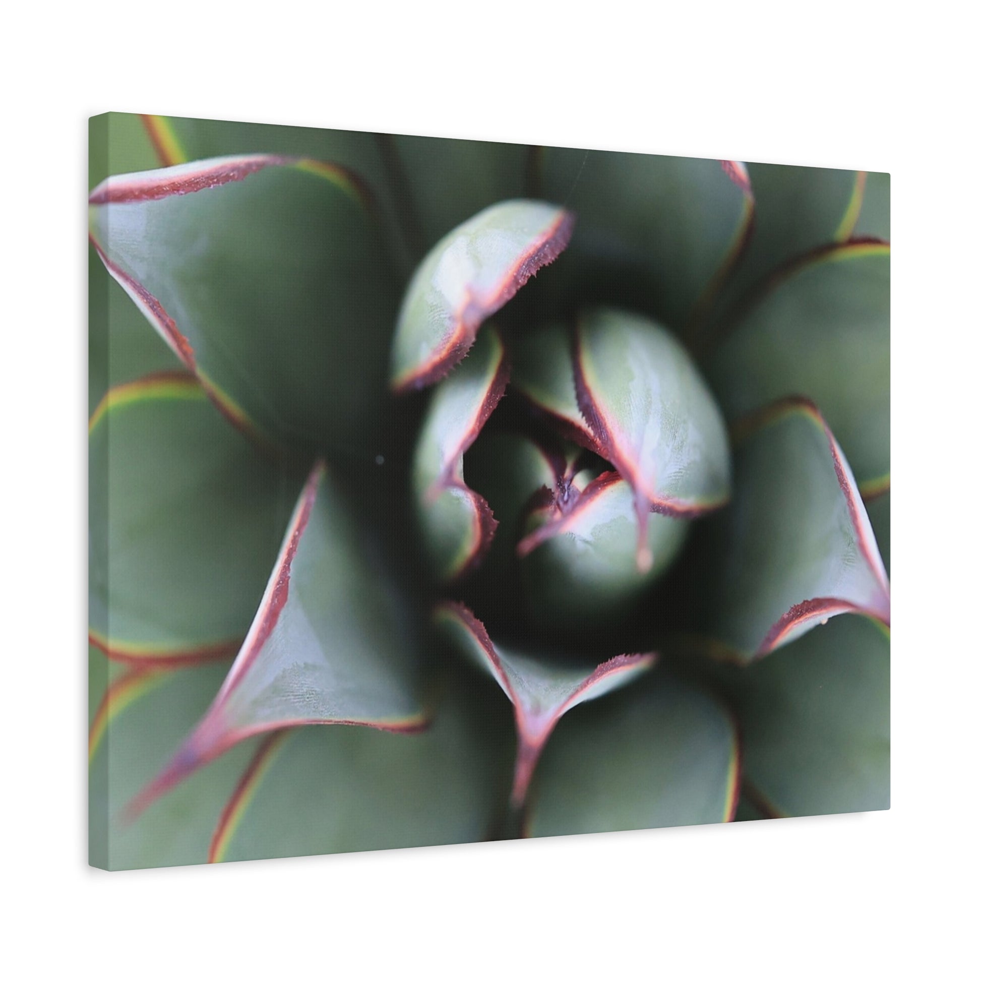 Emerald Spiral - Unique Frameless Canvas Wall Art - Art By Earth