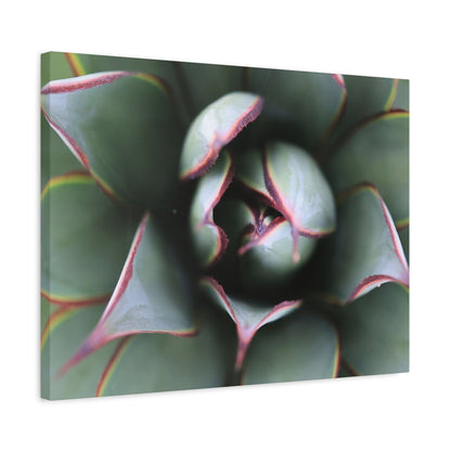 Emerald Spiral - Unique Frameless Canvas Wall Art - Art By Earth