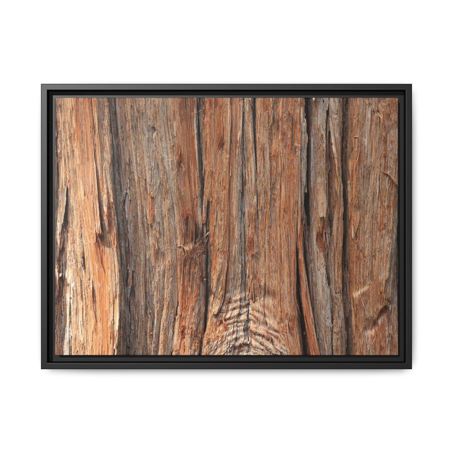 Echoes of Timber - Unique Stretched Canvas Wall Art - Art By Earth