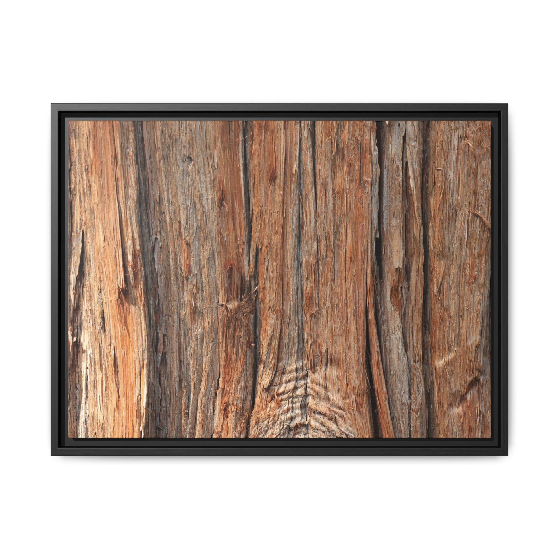 Echoes of Timber - Unique Stretched Canvas Wall Art - Art By Earth