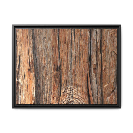 Echoes of Timber - Unique Stretched Canvas Wall Art - Art By Earth