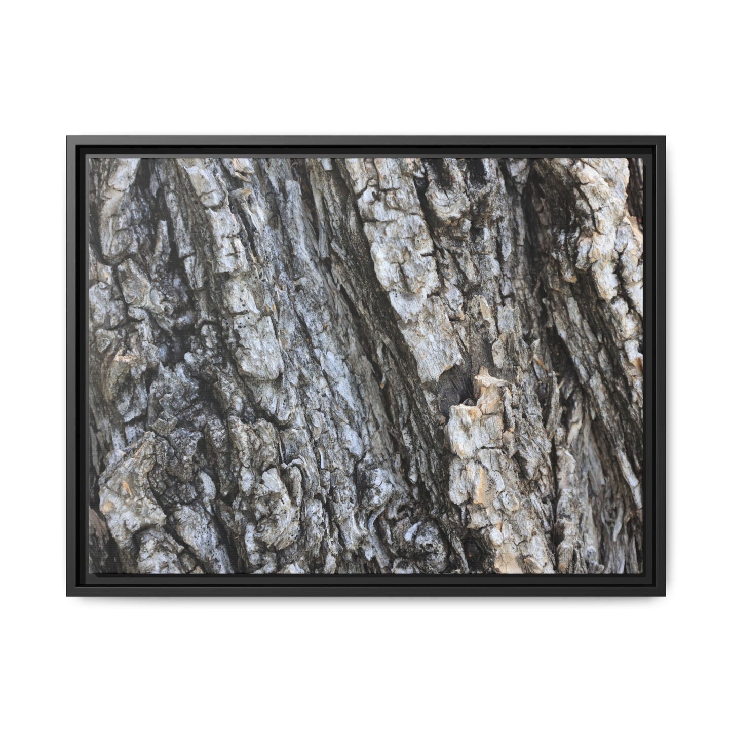 Twisted Textures - Unique Stretched Canvas Wall Art - Art By Earth