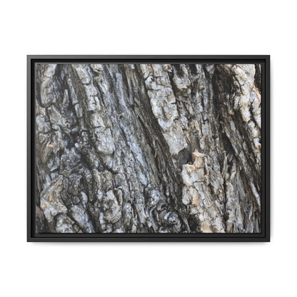 Twisted Textures - Unique Stretched Canvas Wall Art - Art By Earth
