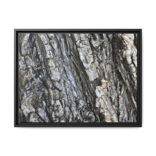 Twisted Textures - Unique Stretched Canvas Wall Art - Art By Earth