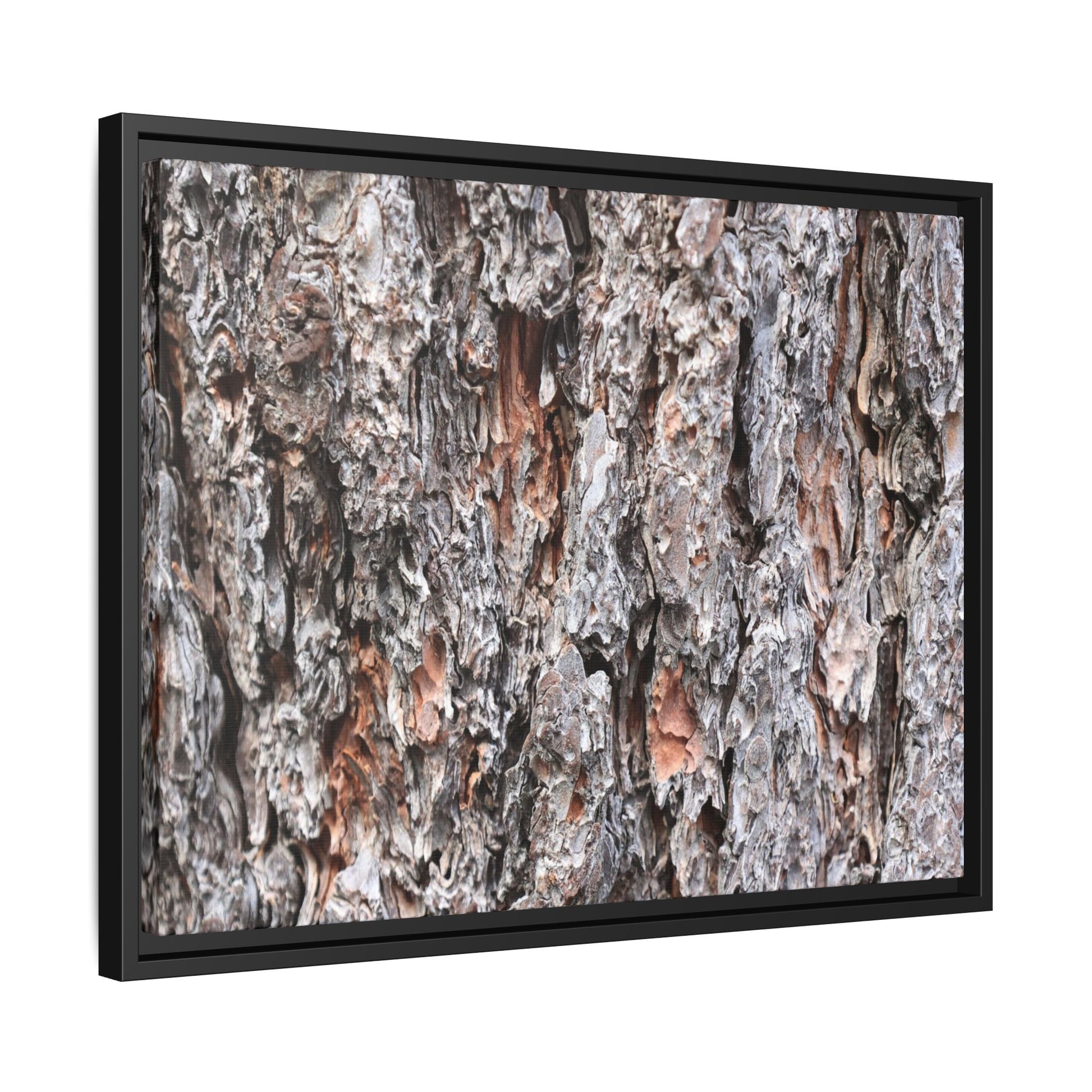 Rugged Cortex - Unique Stretched Canvas Wall Art - Art By Earth