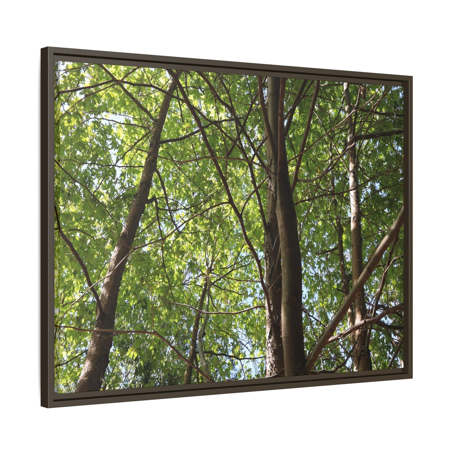 Forest Branches - Unique Stretched Canvas Wall Art