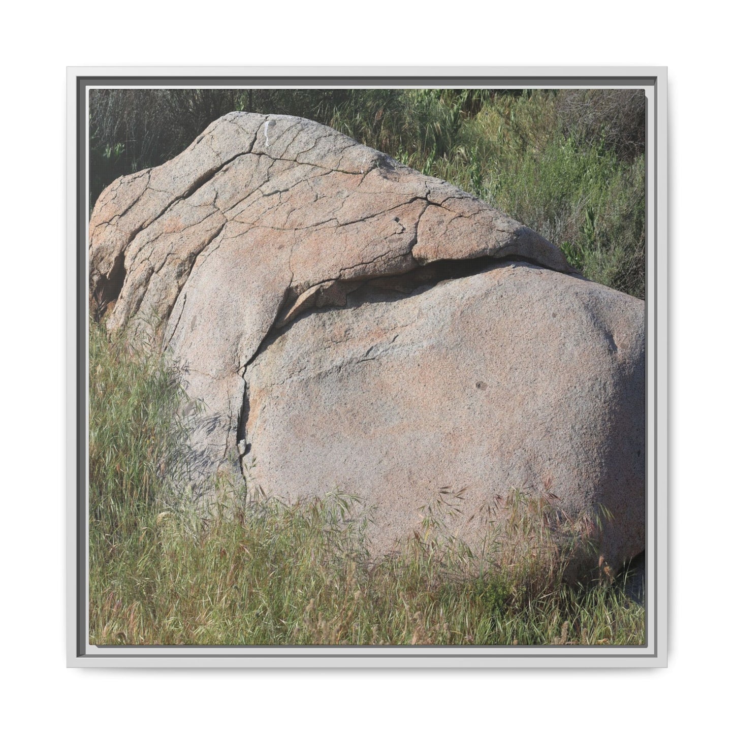 Stone Head Emerging from Earth - Unique Stretched Canvas Wall Art - Art By Earth