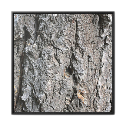 Crusty Exterior - Unique Stretched Canvas Wall Art - Art By Earth