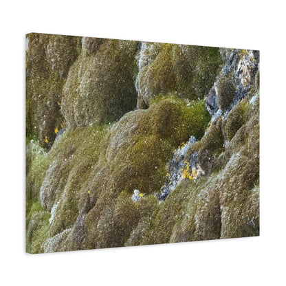 Verdant Stone Symphony - Unique Frameless Canvas Wall Art