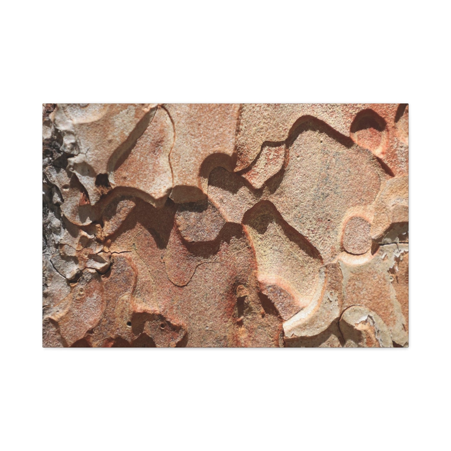 Terracotta Echoes - Unique Frameless Canvas Wall Art - Art By Earth