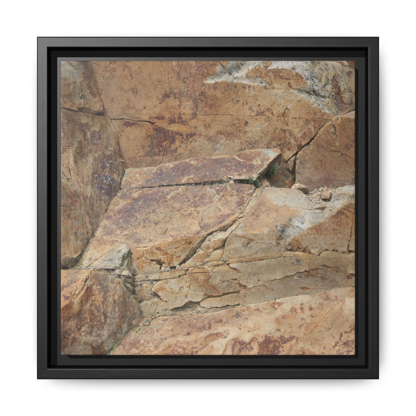 Ancient Foundations - Unique Stretched Canvas Wall Art - Art By Earth