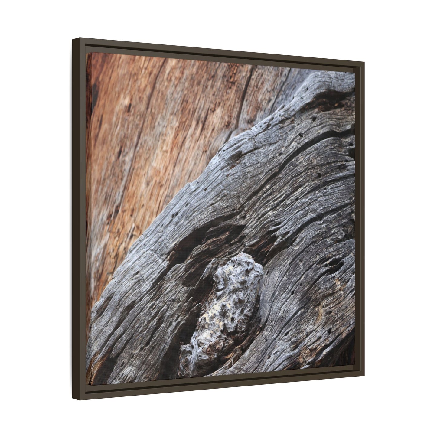 Time's Mark on Timber - Unique Stretched Canvas Wall Art - Art By Earth