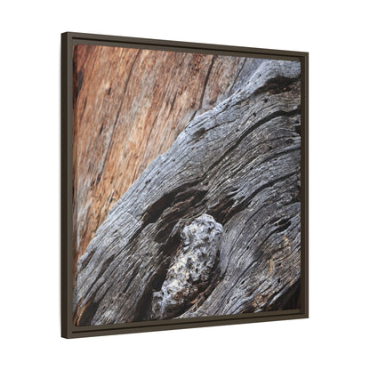 Time's Mark on Timber - Unique Stretched Canvas Wall Art - Art By Earth