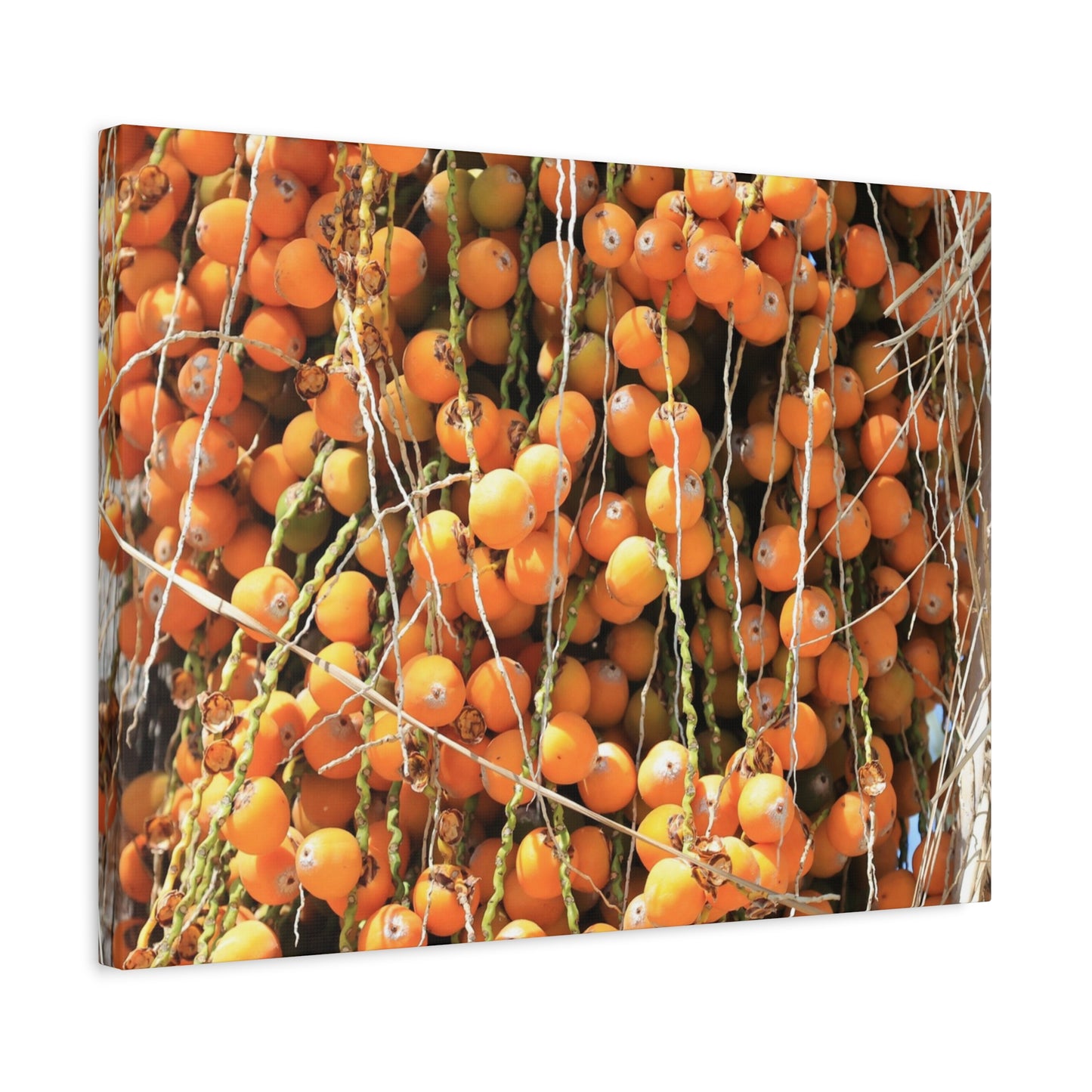 Orange Harvest - Unique Frameless Canvas Wall Art - Art By Earth