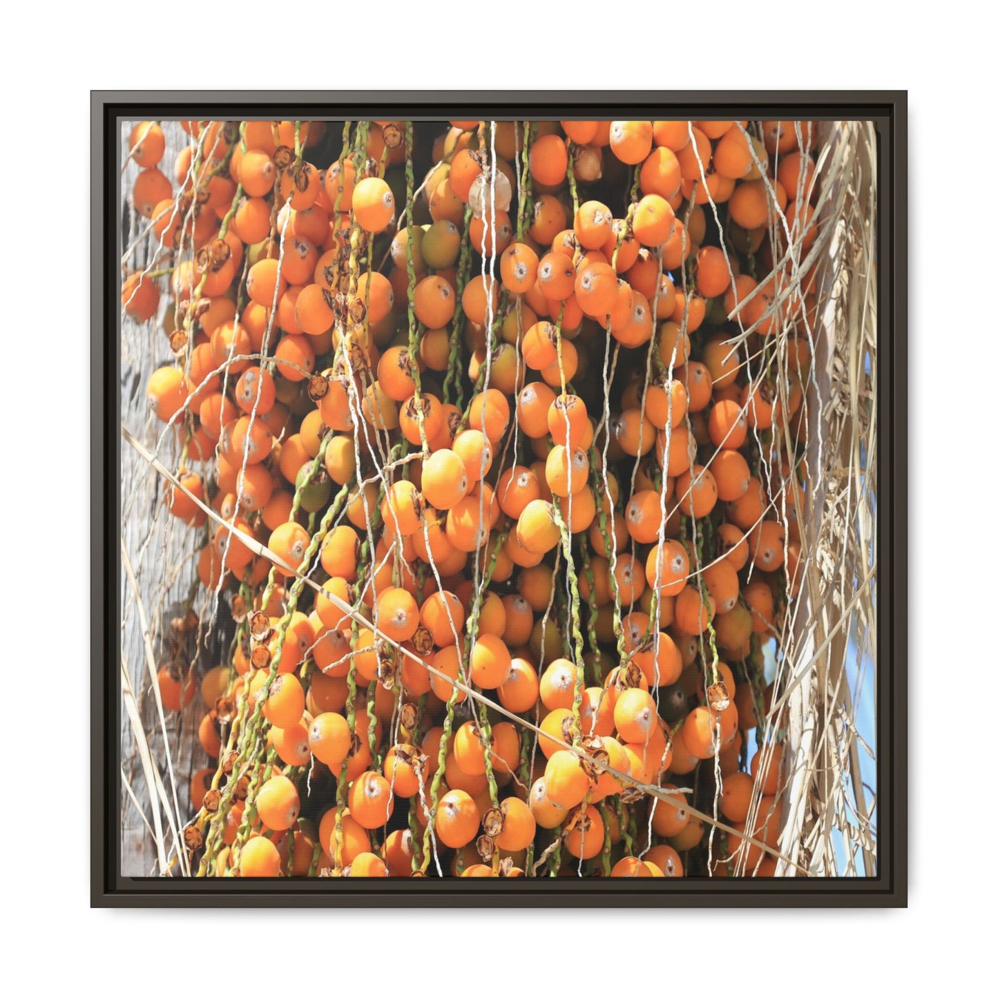 Clusters of Sunlight - Unique Canvas Wall Art - Art By Earth