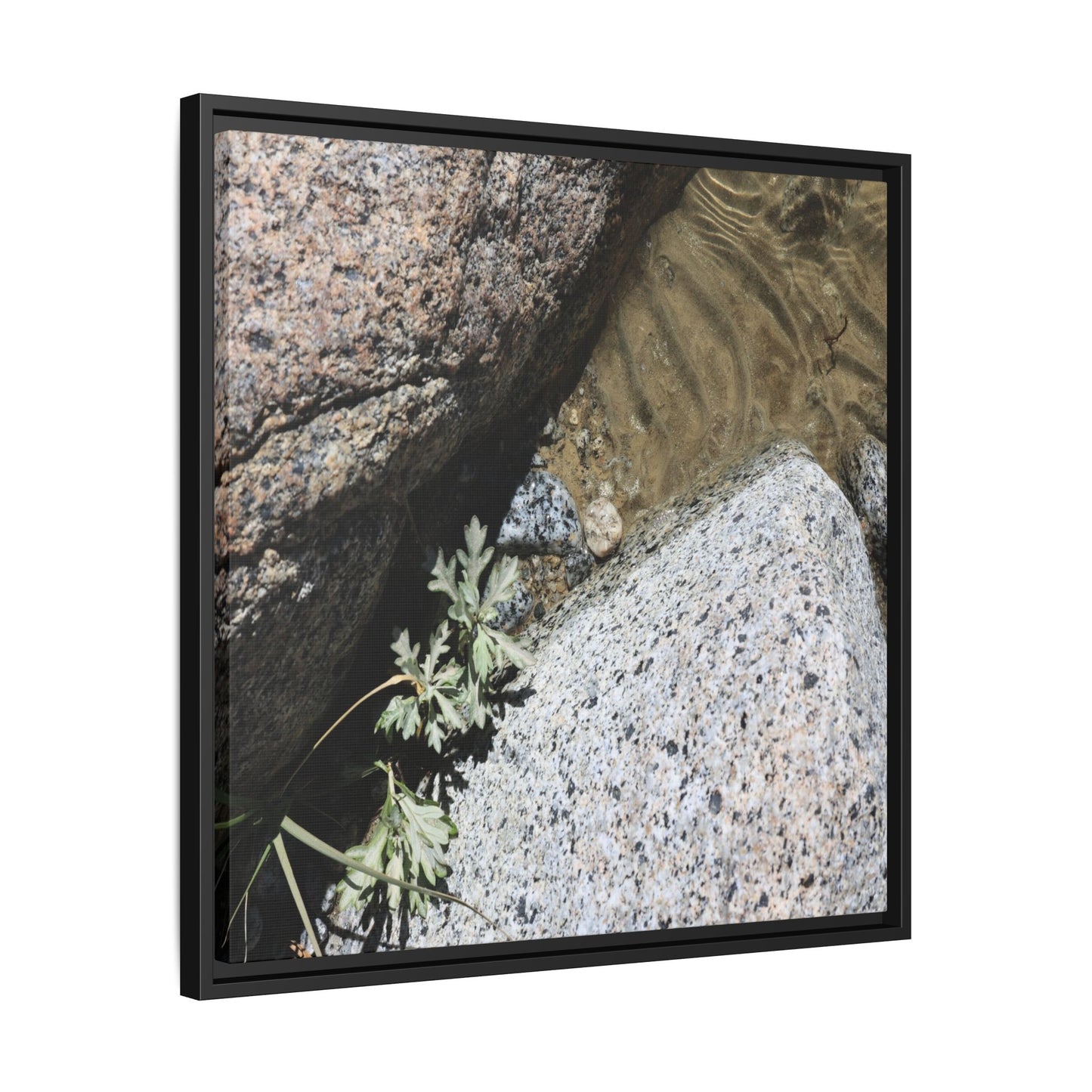 Resilience in Stone - Unique Stretched Canvas Wall Art - Art By Earth