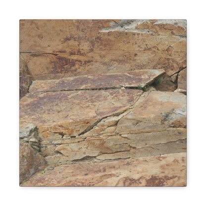 Rocky Terrain - Unique Frameless Canvas Wall Art - Art By Earth
