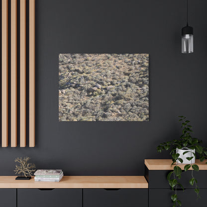 Desert Landscape with Scattered Rocks and Sage - Unique Frameless Canvas Wall Art - Art By Earth