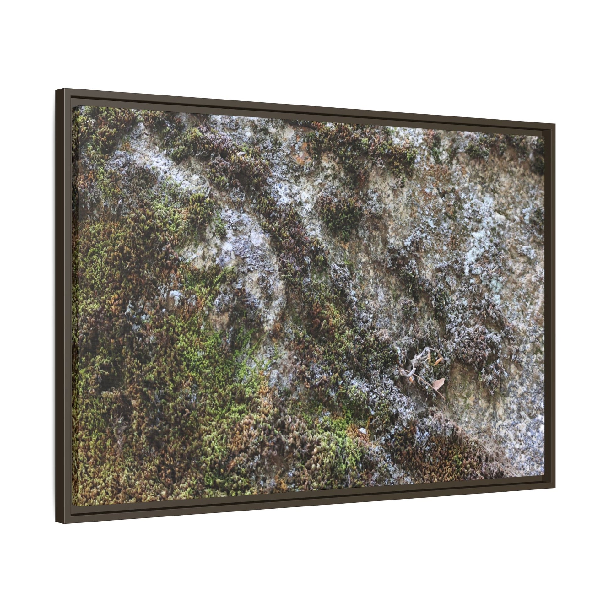 Mossy Whispers - Unique Stretched Canvas Wall Art - Art By Earth