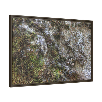 Mossy Whispers - Unique Stretched Canvas Wall Art - Art By Earth