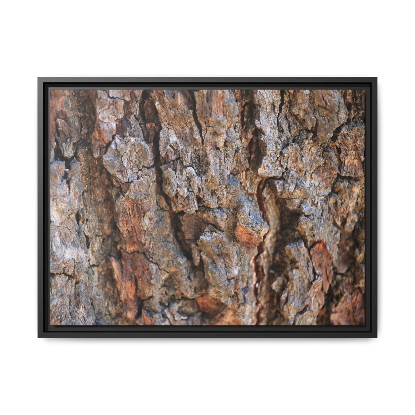 Craggy Textures - Unique Stretched Canvas Wall Art - Art By Earth