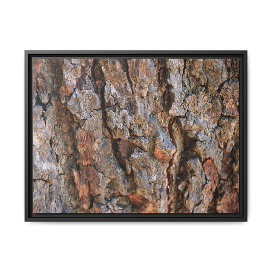 Craggy Textures - Unique Stretched Canvas Wall Art - Art By Earth