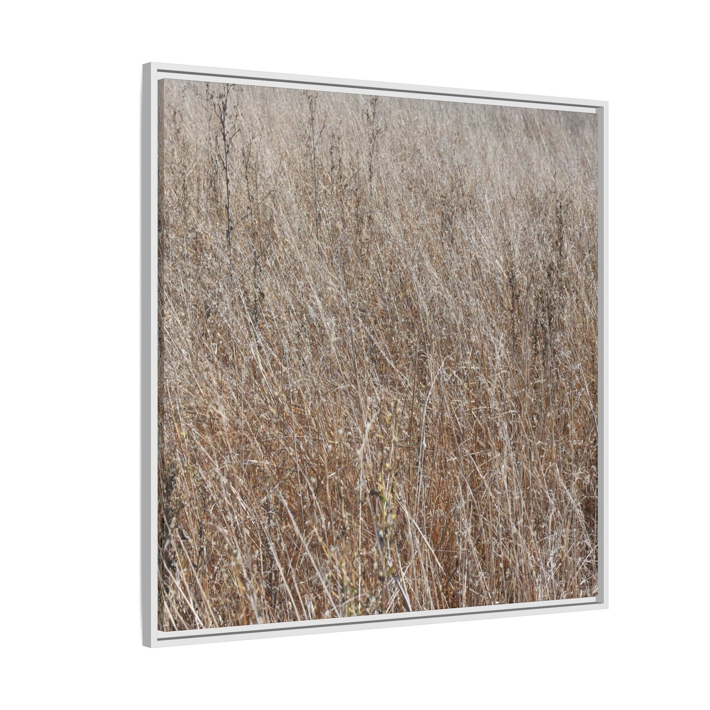 Whispers of Autumn - Unique Stretched Canvas Wall Art - Art By Earth
