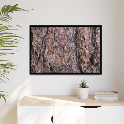 Woody Layers - Unique Stretched Canvas Wall Art - Art By Earth