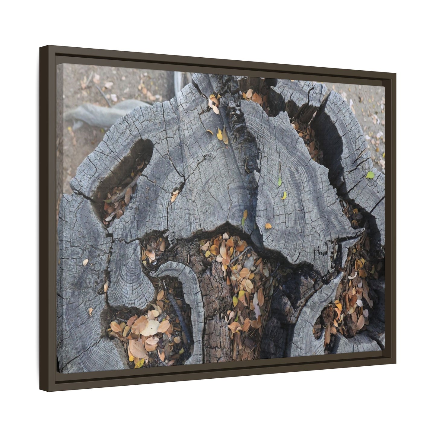 Time's Fractal Memory - Unique Stretched Canvas Wall Art - Art By Earth