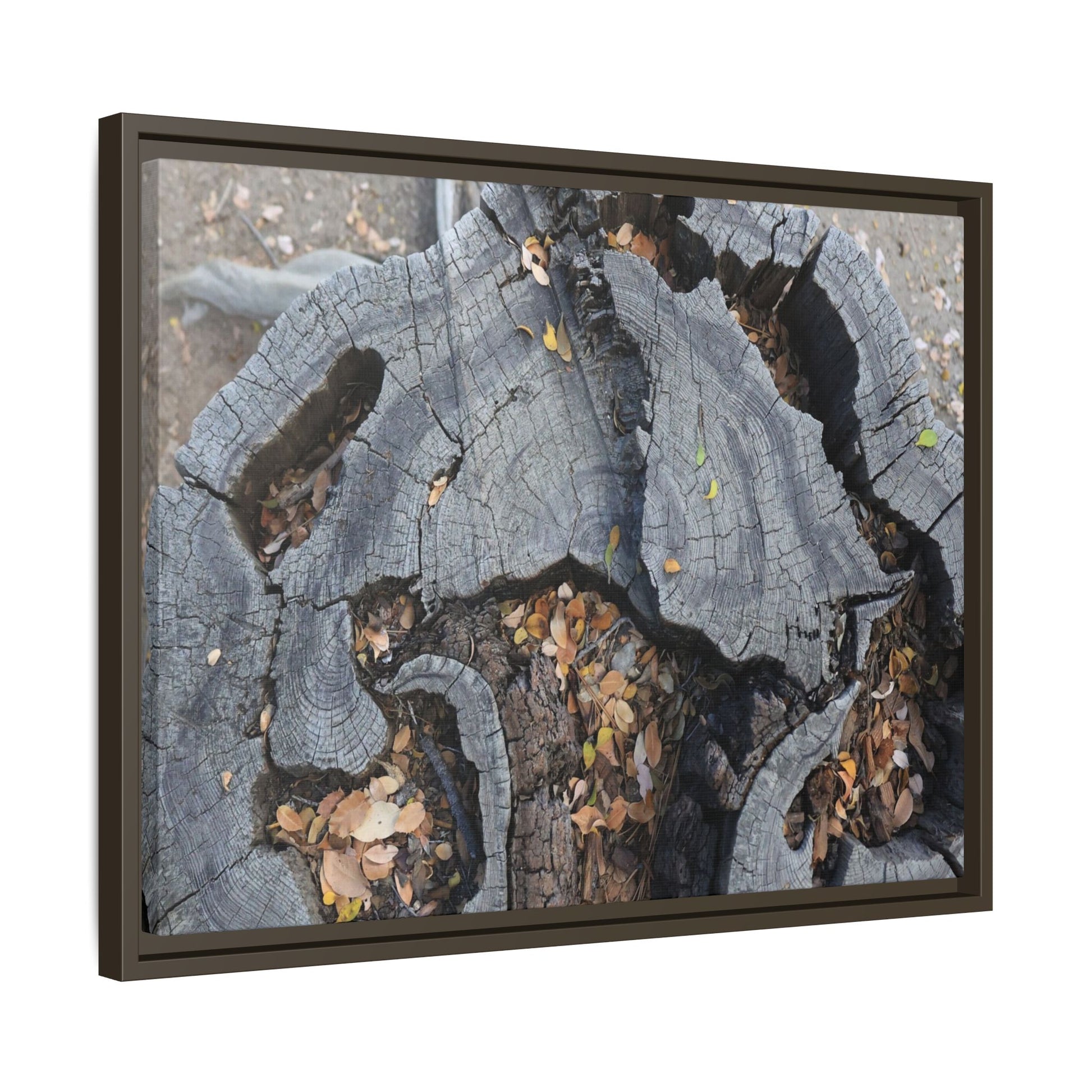 Time's Fractal Memory - Unique Stretched Canvas Wall Art - Art By Earth