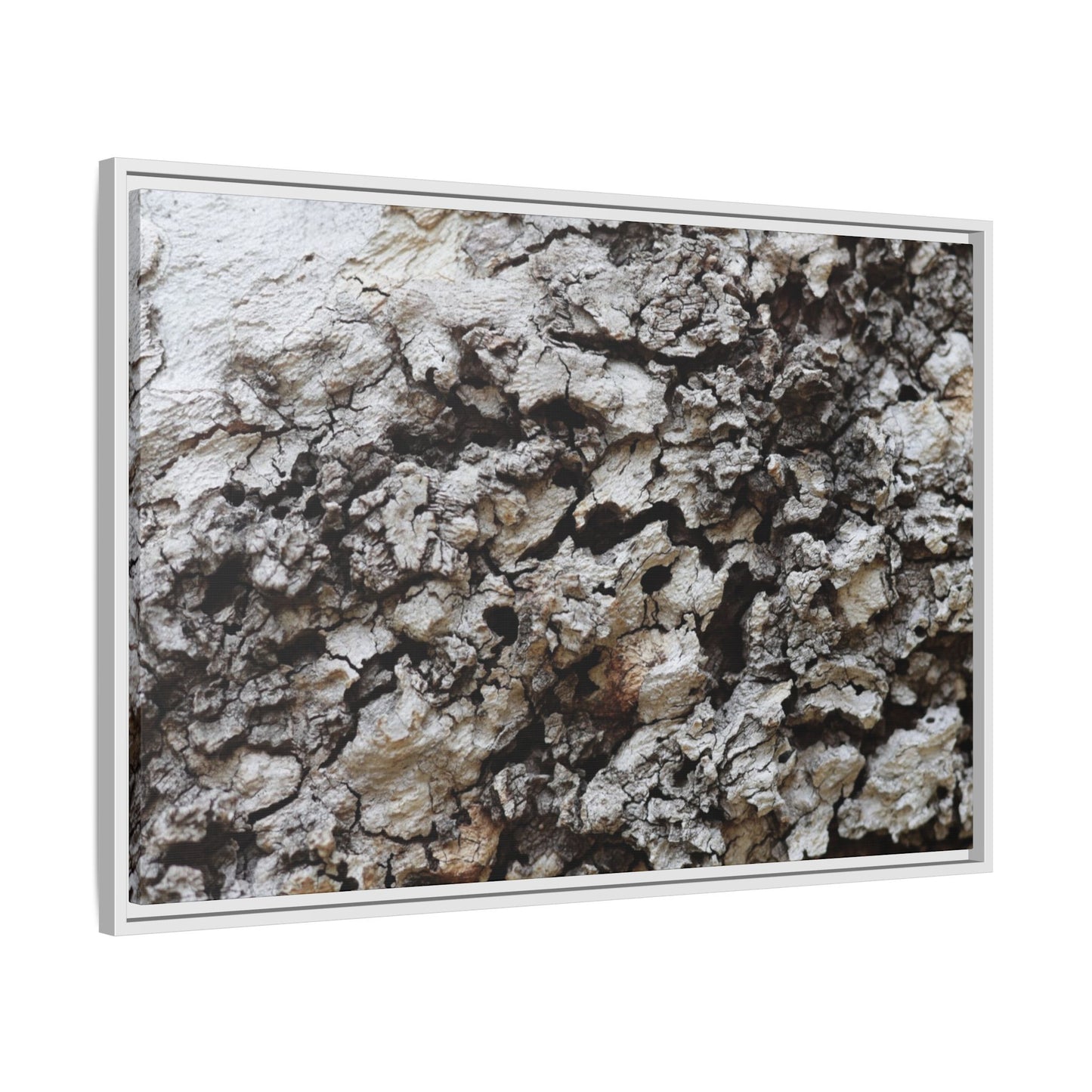 Cracked Terrain - Unique Stretched Canvas Wall Art - Art By Earth