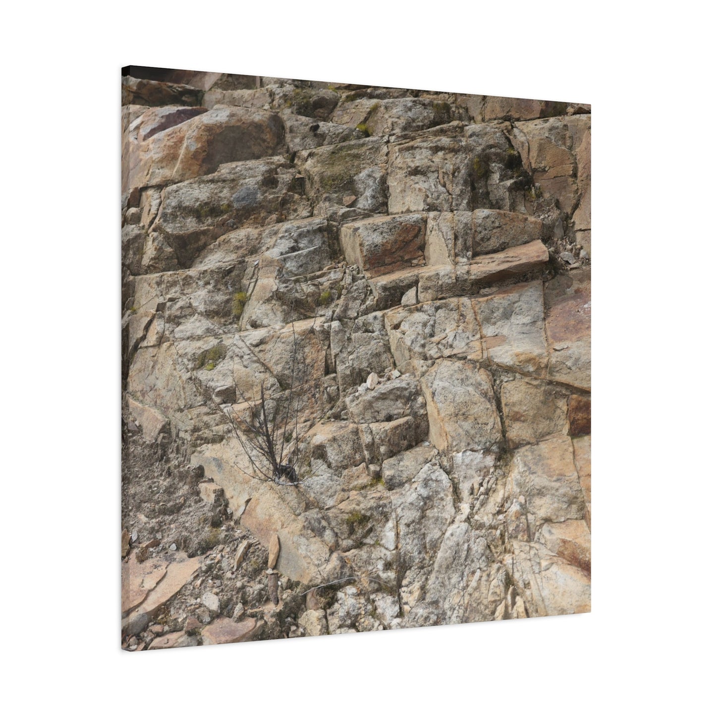 Broken Rock Canvas - Unique Frameless Canvas Wall Art - Art By Earth