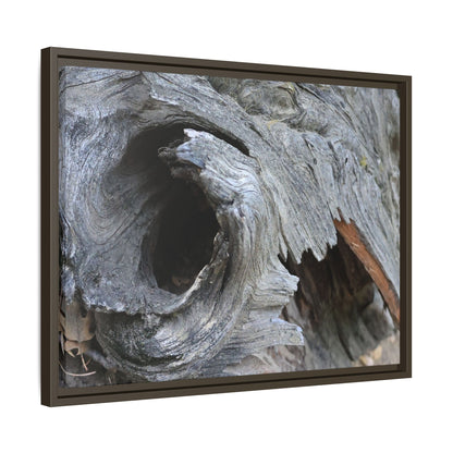 Bark's Labyrinth - Unique Stretched Canvas Wall Art - Art By Earth