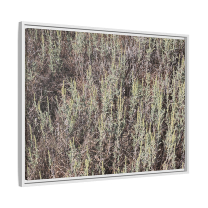 Sage Fields Forever - Unique Stretched Canvas Wall Art - Art By Earth