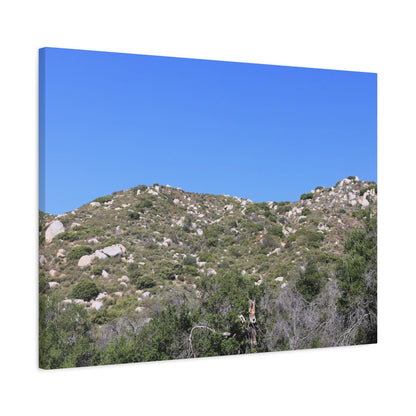Rocky Hills with Desert Vegetation - Unique Frameless Canvas Wall Art