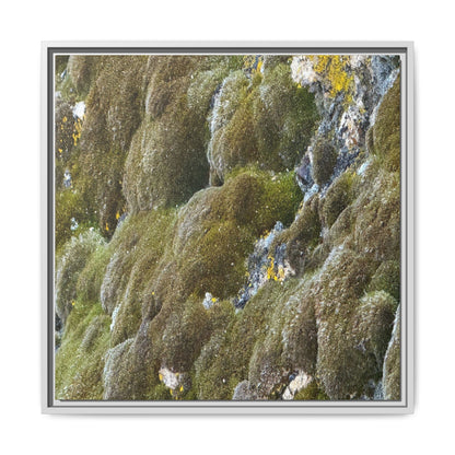 Moss Symphony - Unique Stretched Canvas Wall Art