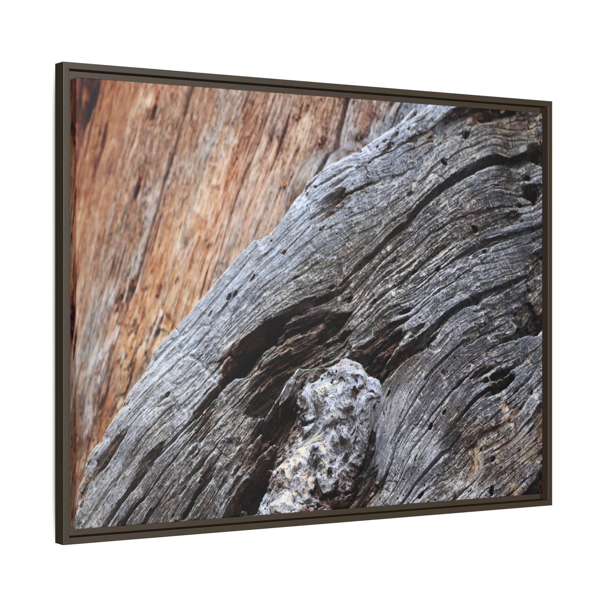 Time's Mark on Timber - Unique Stretched Canvas Wall Art - Art By Earth