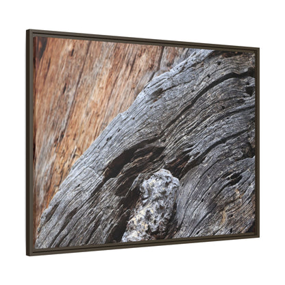 Time's Mark on Timber - Unique Stretched Canvas Wall Art - Art By Earth