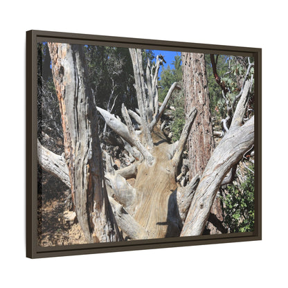 Forest Sentinels - Unique Stretched Canvas Wall Art
